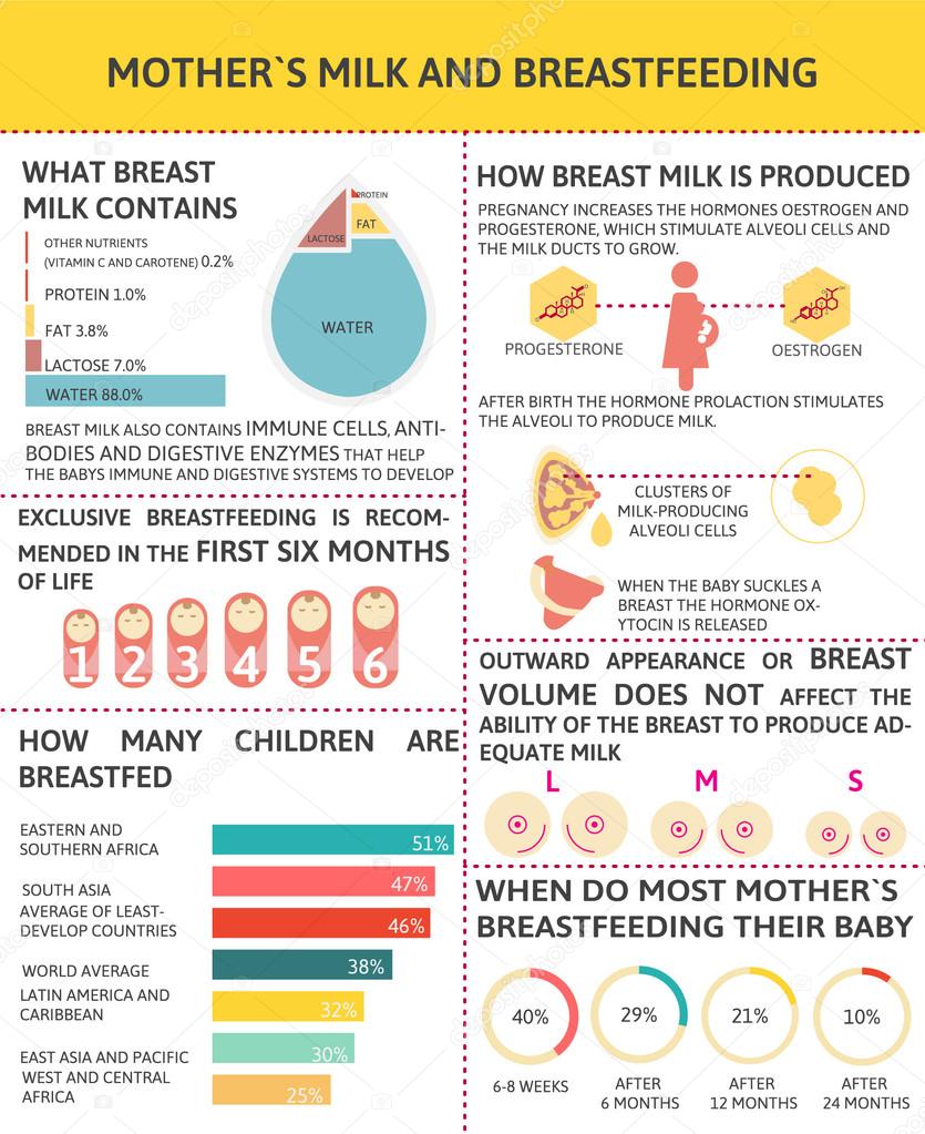 Nos Infographies De L'allaitement Maternel